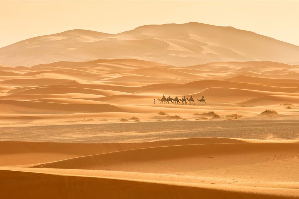 sahara desert 1600px